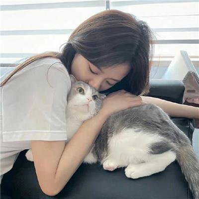 女王蜂游戏